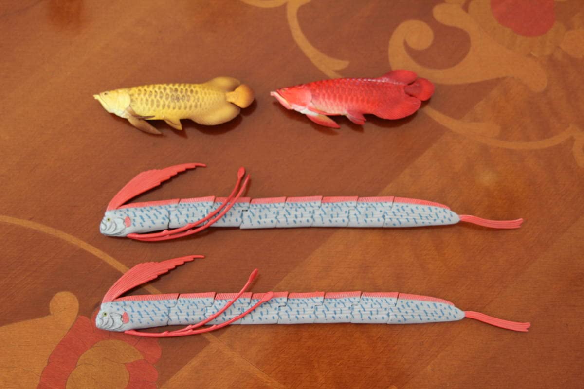 アロワナ2匹セット