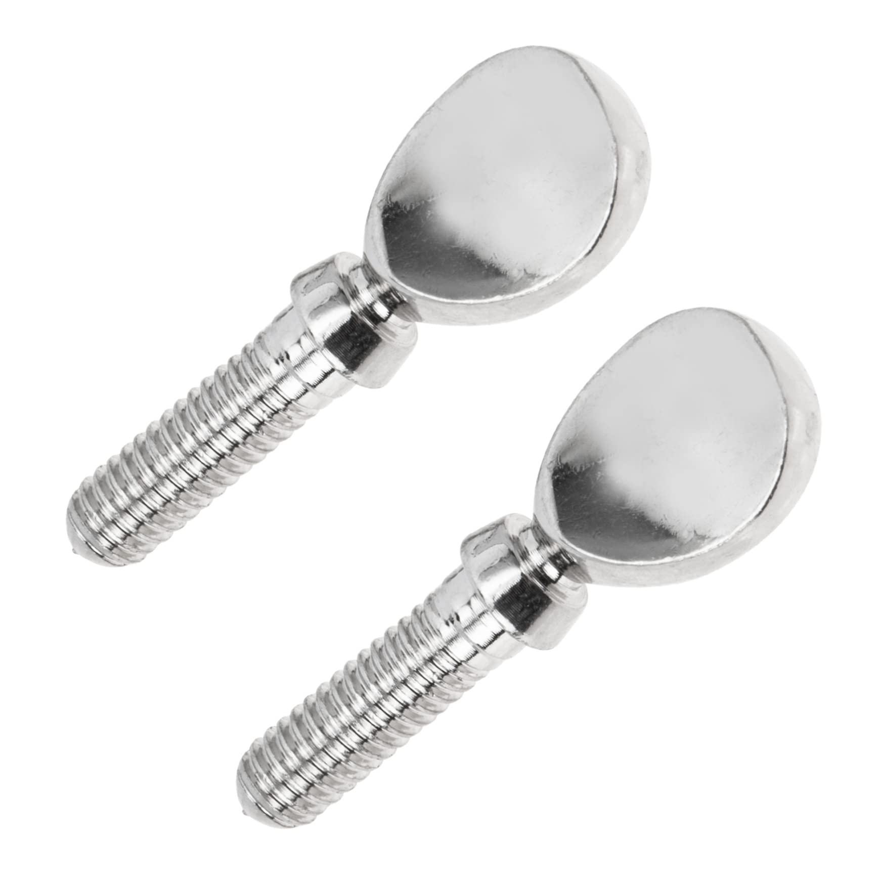ULDIGI Flute Accessories 2 Pieces Copper Flute Screw Set Replacement for Damaged Flute Screws Silver Tone