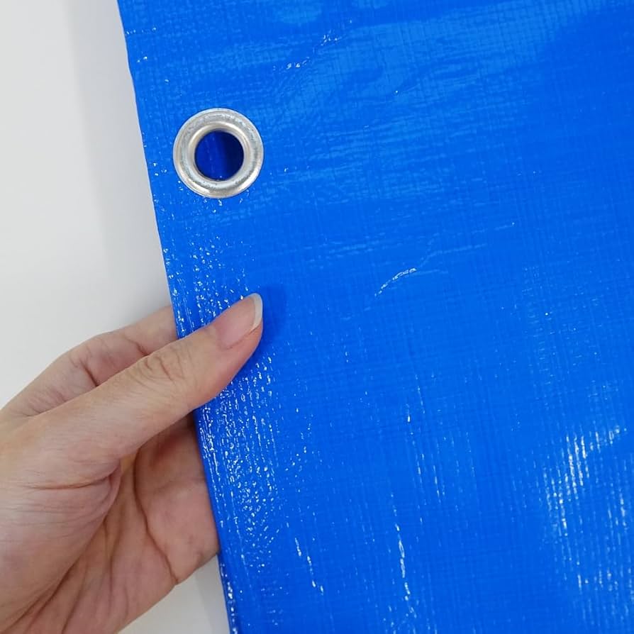 Amazon.co.jp: ブルーシート #3000 厚手 青 5.4x7.2M 1枚x5冊