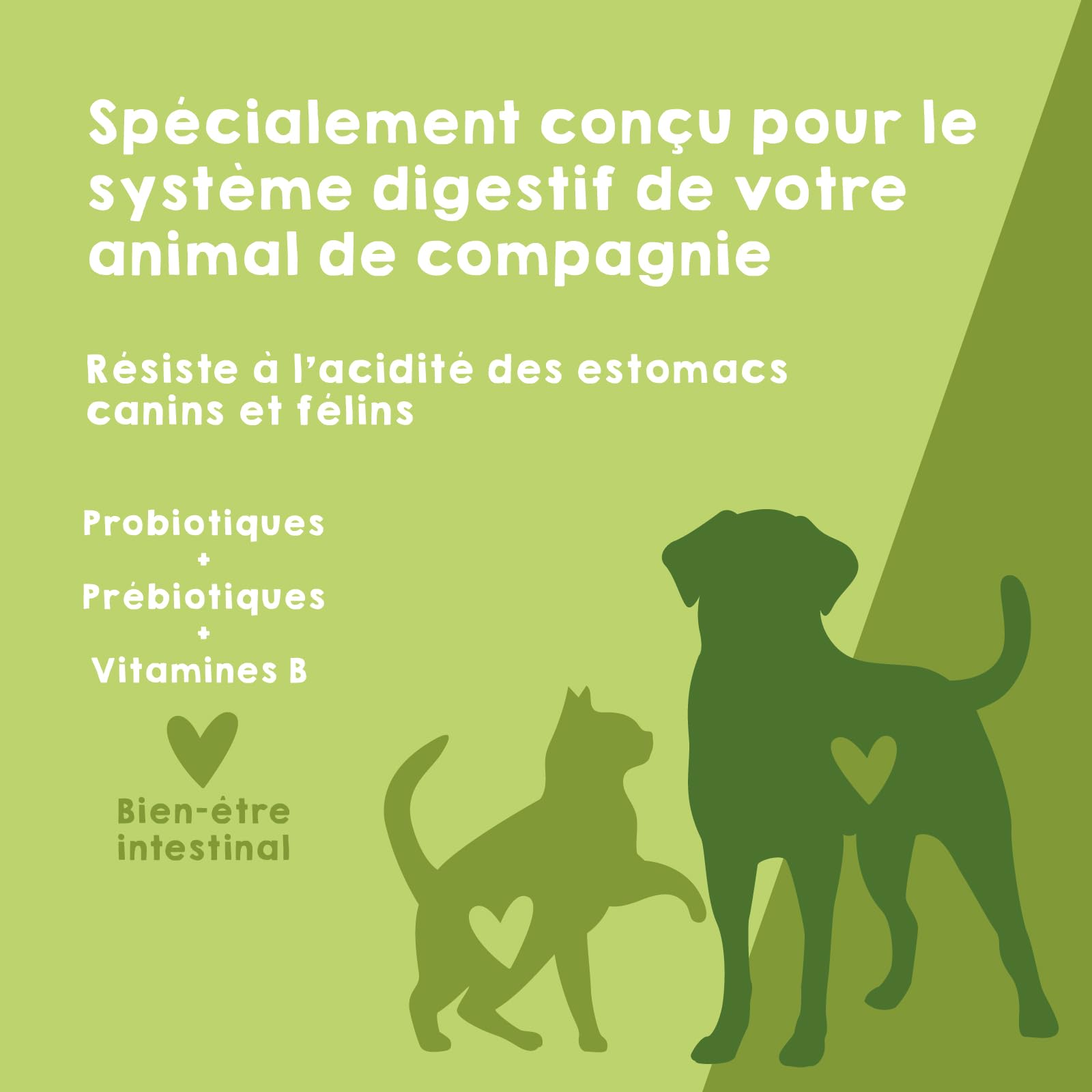 Probiotique Naturel pour Chien et Chat – Poudre 150g – Complément Alimentaire pour Digestion + Immunité et Santé Intestinale – Anti-Diarrhée – Soutien de la Flore Digestive – Format Économique