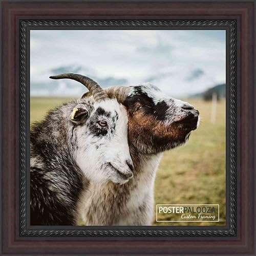 Miniatura 9 de Poster Palooza 5x6 Traditional Mahogany Complete Wood Picture Frame with UV Acrylic, Foam Board Backing, & Hardware