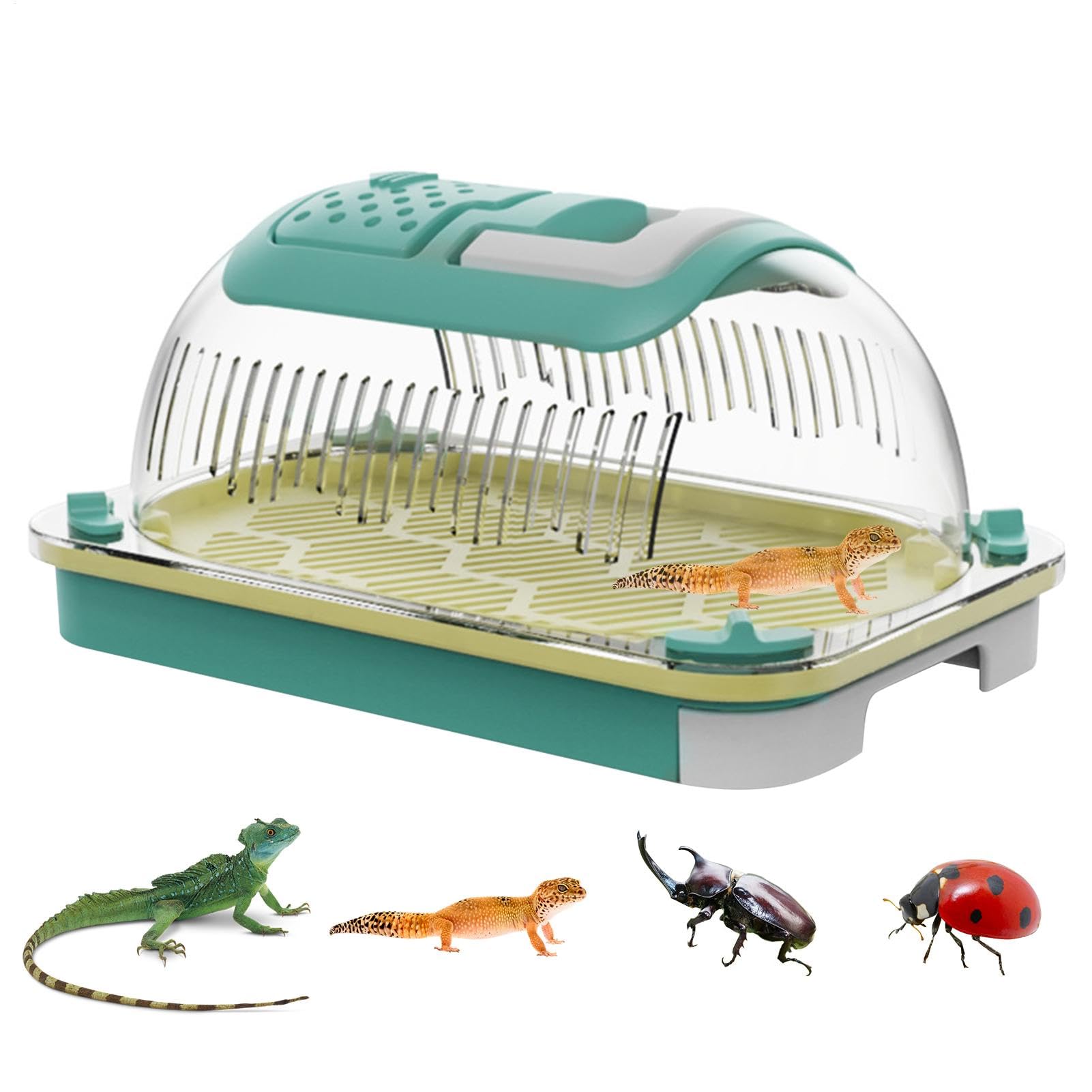 Cage de lézard portable transparente et ventilée pour transport de reptile