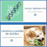 Ver la foto 6