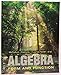 Algebra: Form and Function
