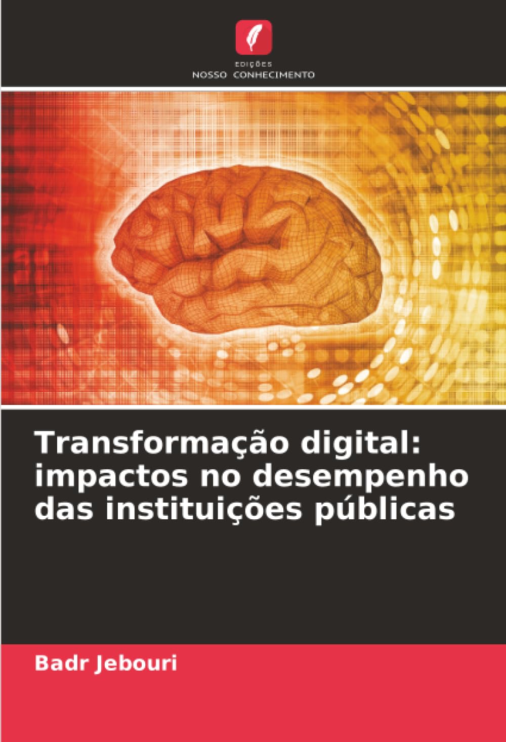Transformação digital: impactos no desempenho das instituições públicas