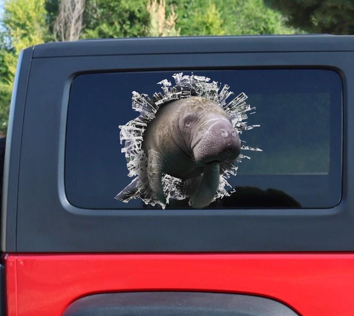 Amazon.com: Manatee Window Decal, car Sticker, Manatee car Decal ...