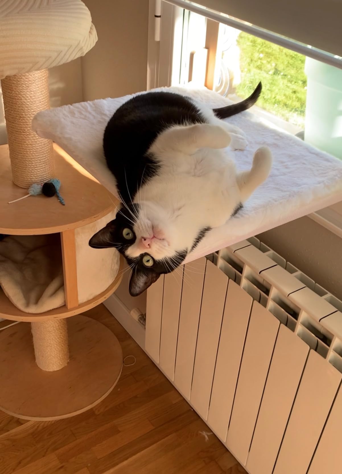 Hamaca para Gato de Ventana - Gris