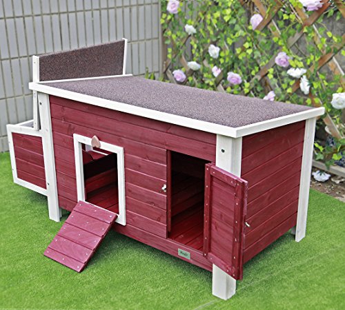 Backyard Chickens And Roosters Archives
