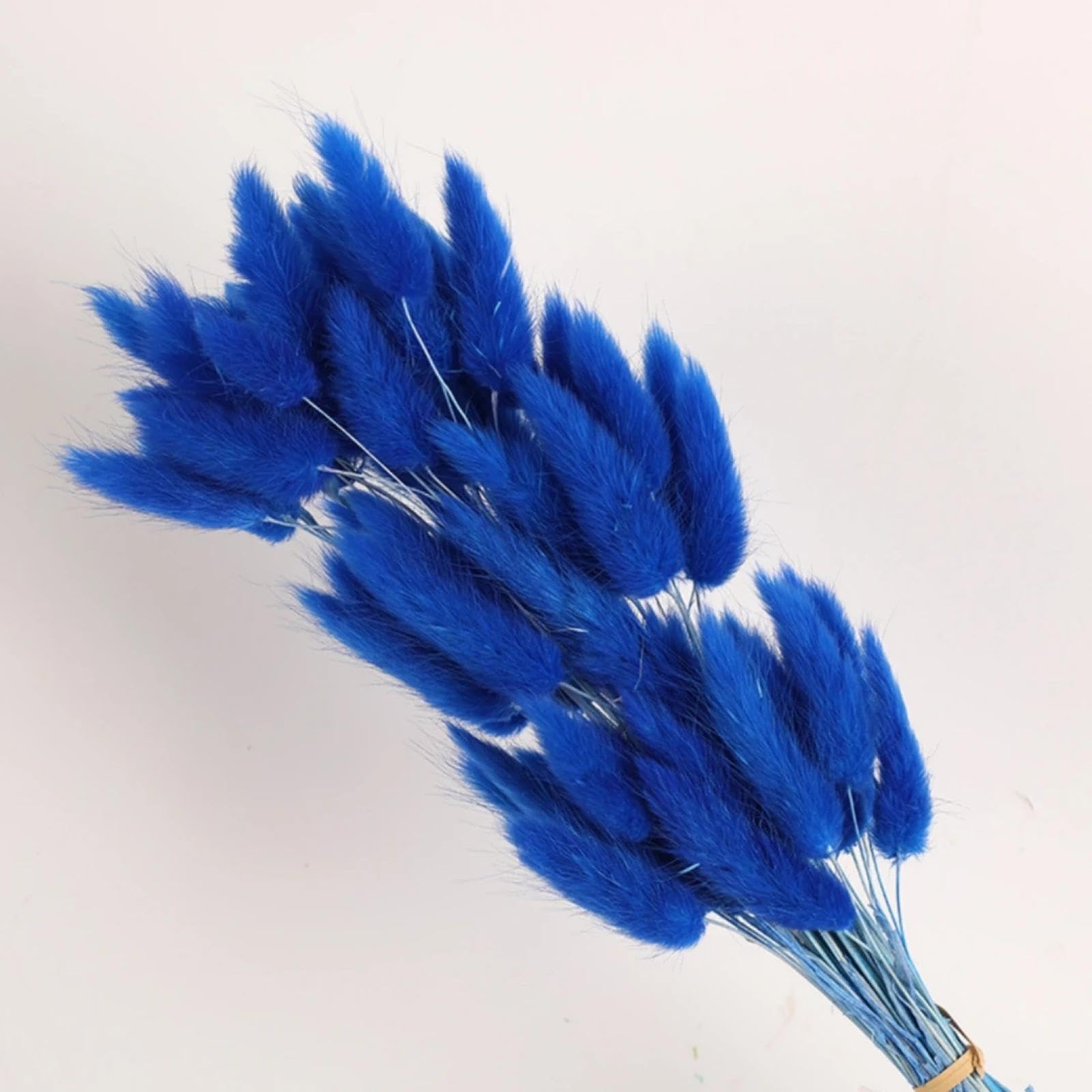 Queues de lapin fleurs séchées bleu profond 45 cm pour herbe pampas et vase de maison