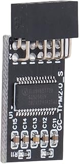 TPM 2.0 Module LPC SPI 12Pin, Encryption Security Module Remote Card Security Module Remote Card Encryption Security Board Accessory for GIGABYTE