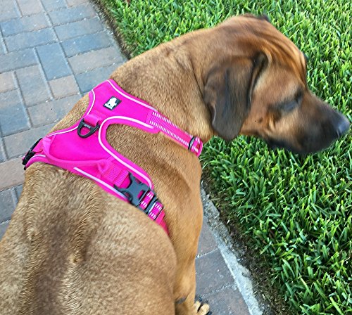 Chais-Choice-Premium-Outdoor-Adventure-Dog-Harness-3M-Reflective-Vest-with-Two-Leash-Clips-Matching-Leash-and-Collar-Available-Fuchsia-X-Small