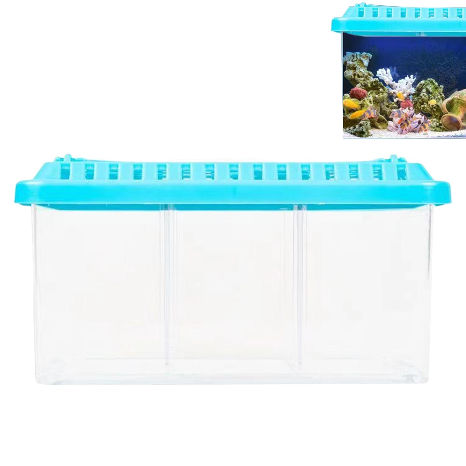 Acuario Betta,Tanque de Acuario Betta - Peceras con divisores extraíbles - Kit de iniciación de Acuario Ornamental, pecera, Acuario pequeño para apartamento y hogar