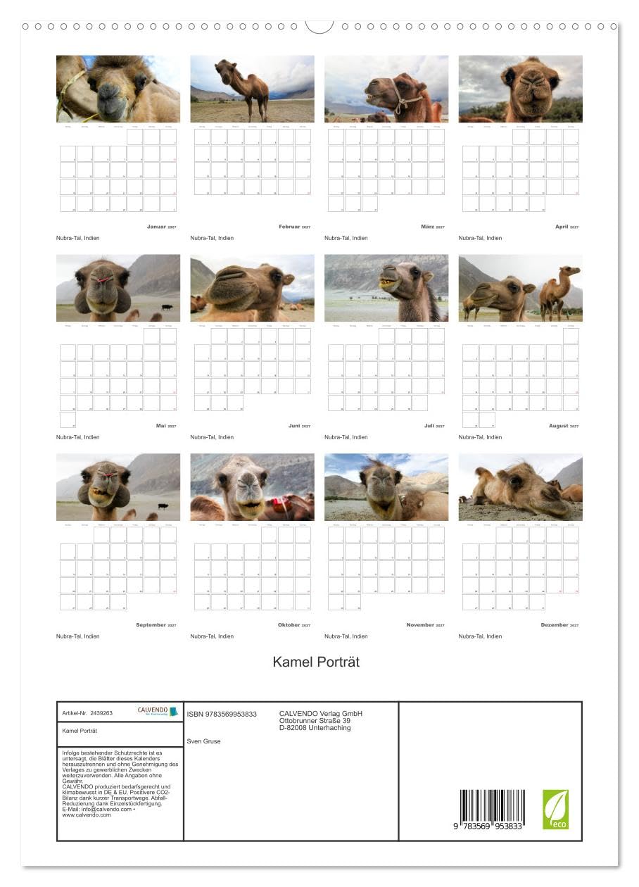 CALVENDO - Kamel Porträt (hochwertiger Premium Wandkalender 2027 DIN A2 hoch), Kunstdruck in Hochglanz: Der etwas andere Tierkalender jetzt als Familienplaner