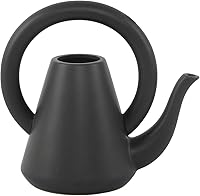 Vista 1 de Flora Bunda Regadera de cerámica negra mate de 10 pulgadas para decoración interior casera