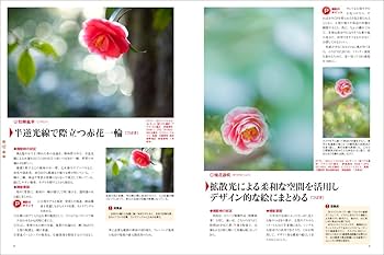 【3万円以下で楽しむ本物の絵画③】「冬の日」小松明画伯　SMサイズ 3以下で楽しむ本物の絵画③】「冬の日」小松明画伯 SMサイズ