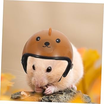 Amazon.co.jp: EXCEART 20個 ミニチュアヘルメット ビーニー チキン