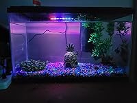 Review Image by Bonnie J. Williams Bonnie J. Williams