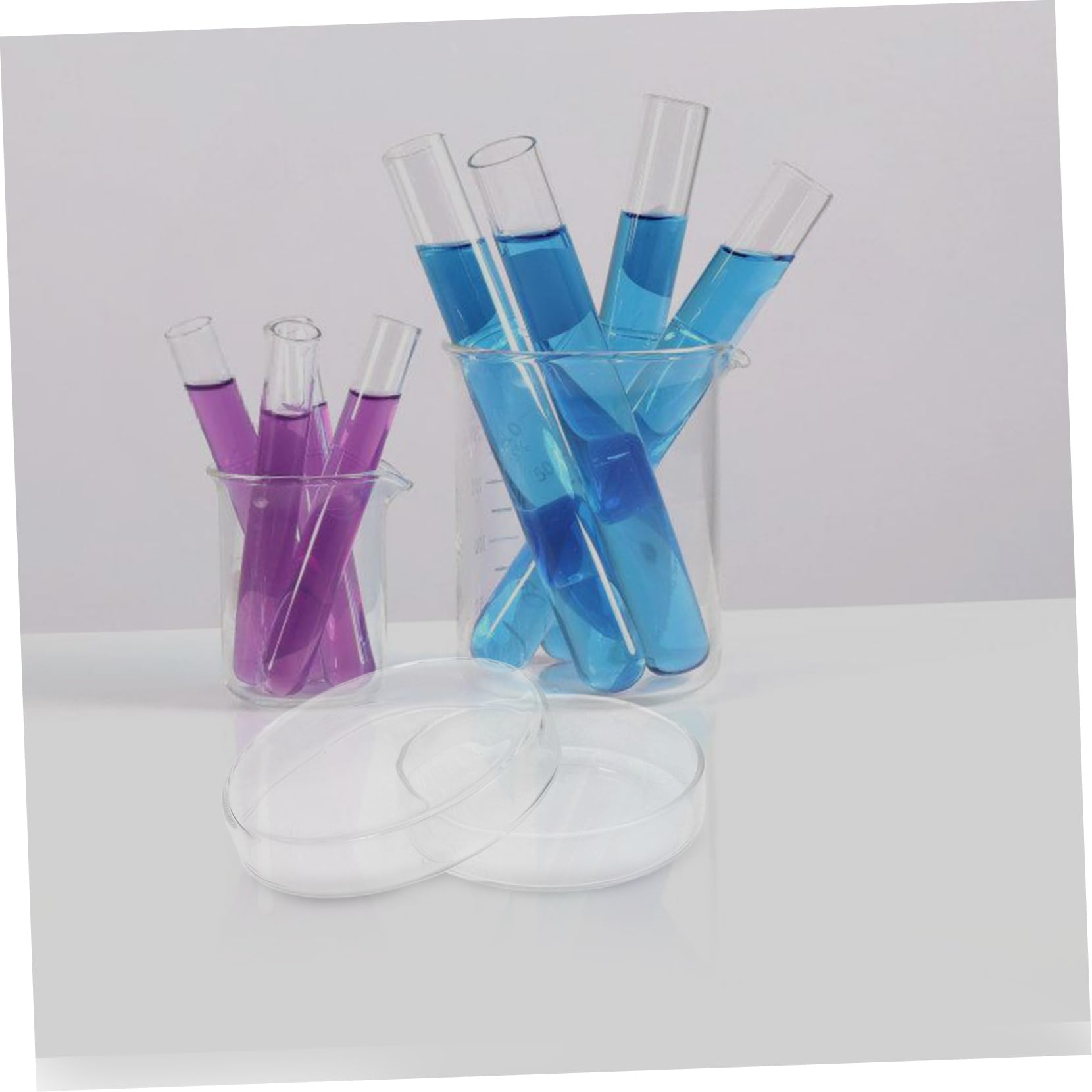 ULTECHNOVO 5 Stück Glas Petrischale Zellkulturplatte Für Laborkulturschale Zellkulturschale Petrischale Laborkulturschale Laborzellkulturplatte Kultivierungsplatte Hoher Borosilikatgehalt