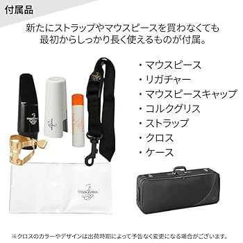 Amazon.co.jp: YANAGISAWA T-WO10 初心者セット テナーサックス