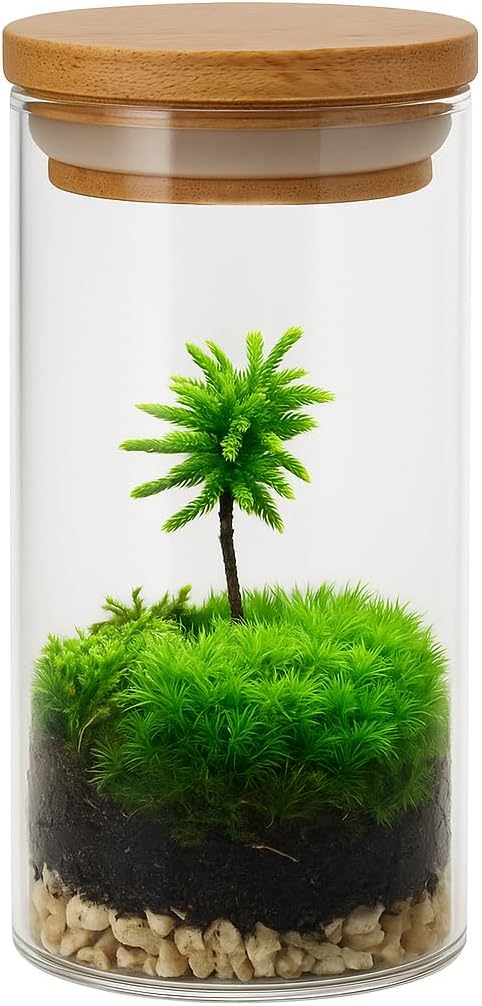 Miniature Live Moss Tree Terrarium, Beautiful Green Mini Ecosystem with Live Moss, Grow You Own Mini Forest, Unique Gift from Nature for Home or Office (Bamboo LED Lid)