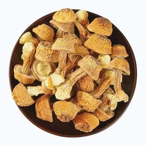 JINQI アガリクス茸 アガリクス 乾燥姫マツタケ 姫松茸 ヒメマツタケ 中国産 (1kg)