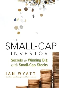 The Small-Cap Investor: Secrets to Winning Big with Small-Cap Stocks-Wow! eBook