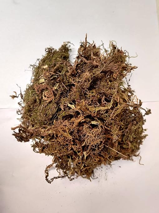 Sphagnum Dry Moss 1kg Multicolour Green and Brown | for Orchid Potting Soil Air Layering Mulching Kokedama Terrarium Moss Stick Gardening Use | Ready to Use Dead Moss