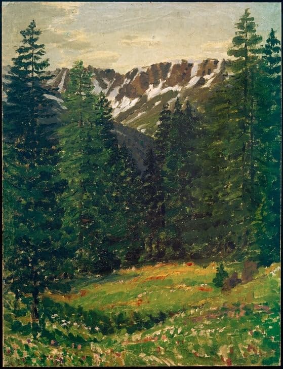 Impressions d'art mural haut de gamme paysage forestier