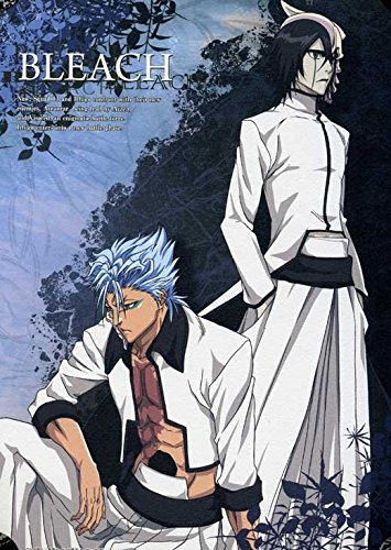 Amazon.com: Bleach Poster Movie Japanese O 11 x 17 Inches - 28cm x