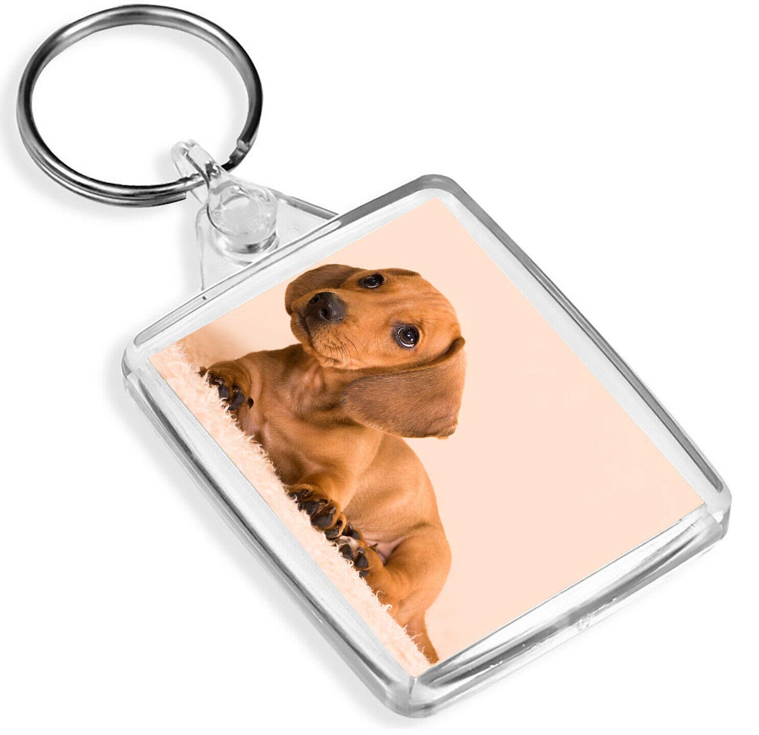 Destination Vinyl Keyrings Unisex Multi Dachshund Puppy Keyring - Ip02 - Sausage Dog Puppies Baby Minature #15583 Medium