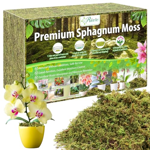 Riare 2.8LBS Premium Sphagnum Moss for Plants- 55QT Natural Dried Plant Moss for Potted Plants, Orchid Moss for Repotting, Soft Green Decorative Moss for Succulents, Reptiles & DIY Crafts