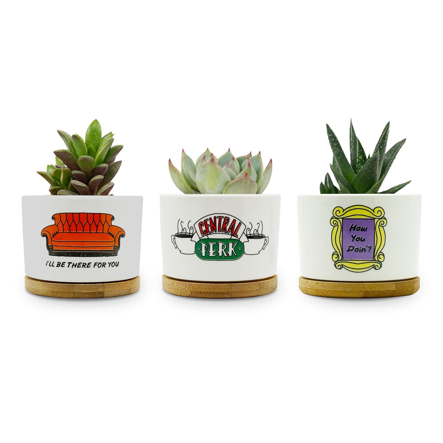 Friends TV Show Merchandise Gifts, 3 Pack Ceramic Succulent Pots, Vintage Style Patterns, 3.15 inch Succulent Planter Pots with Drainage Hole and Bamboo Saucer for Home Decor