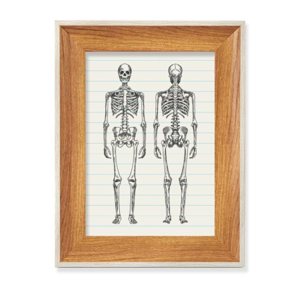 Estructura del esqueleto humano en marco de fotos de madera de sobremesa