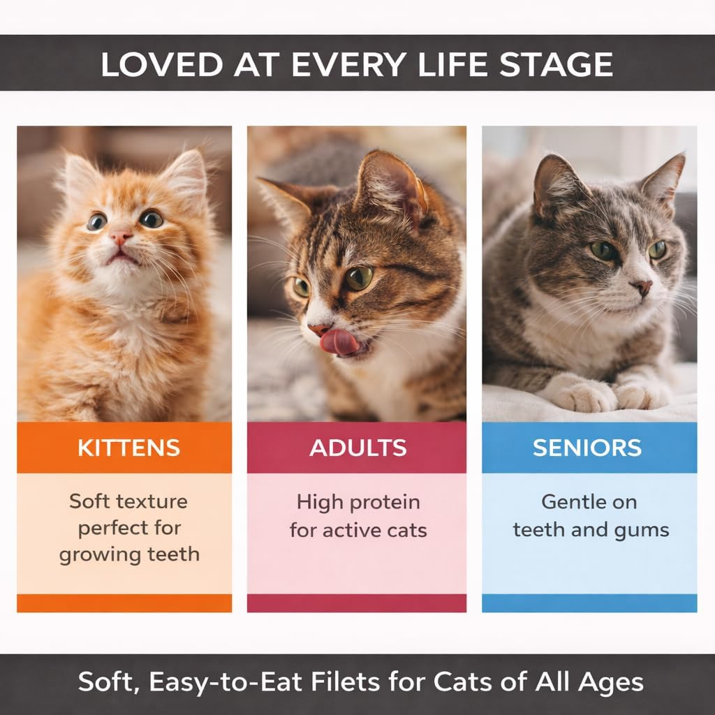 Cat Filet Treats Chicken 3 Pack - Real Chicken Breast High Protein Soft Cat Treats All Natural - Grain Free Healthy Cat Snacks Food Topper for Picky Eaters - 3oz (3x1oz)