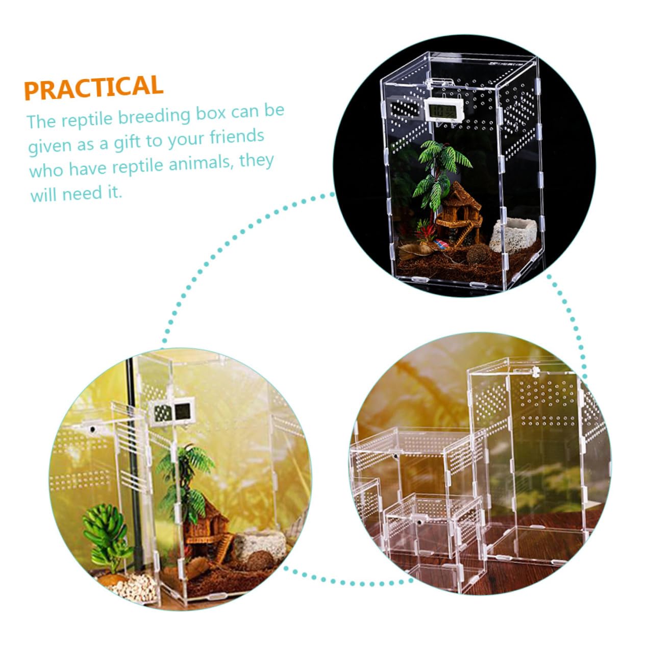 Toyvian Terrarium und Magnetischer Aufzuchtbox mit Stabilem Belüftungssystem für Reptilien aus Acryl zur Zucht und Haltung für Schildkröten und Spinnen
