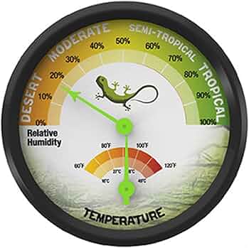 61s8G4ffhOL._AC_UF350,