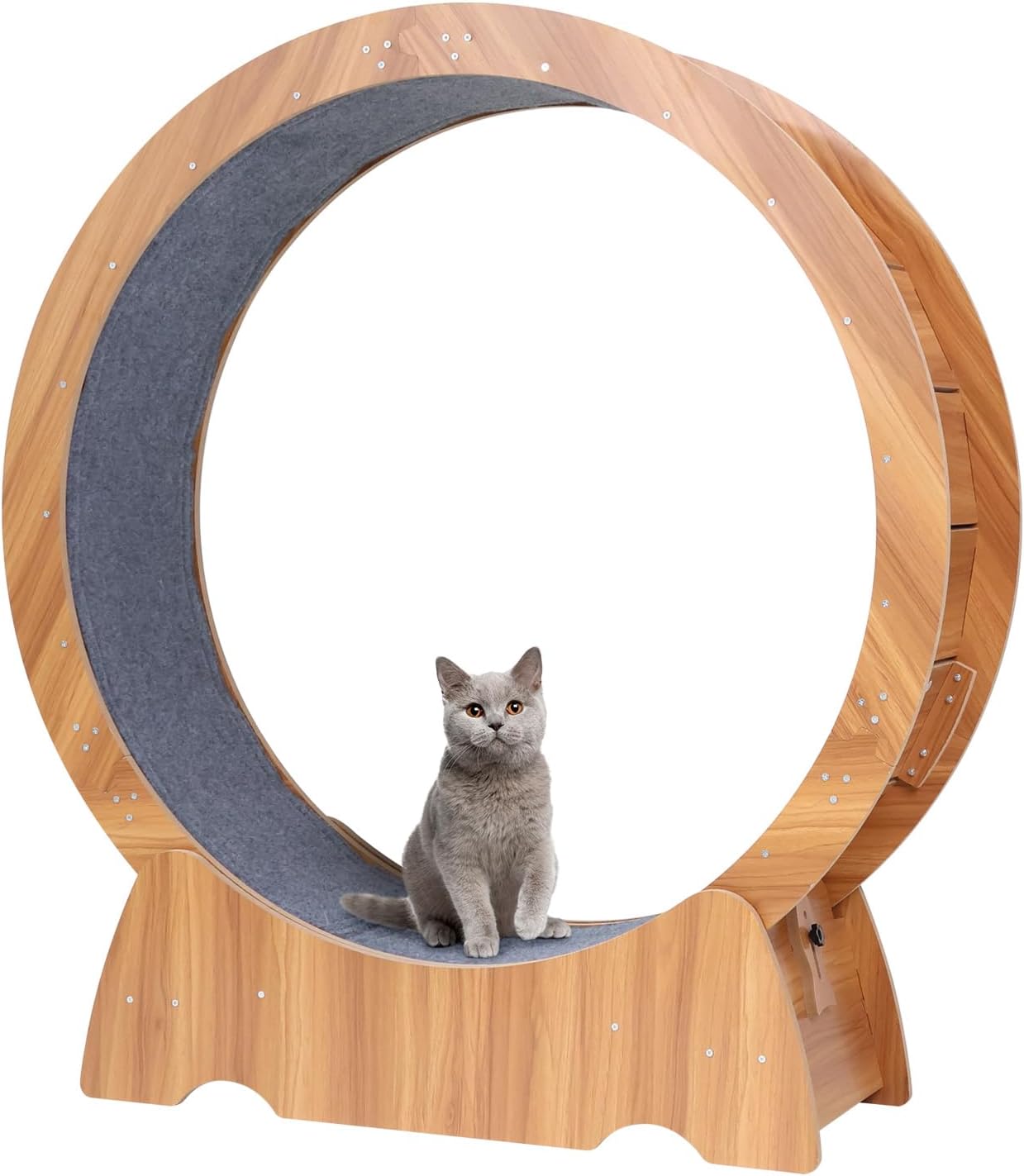 Cat Exercise Wheel for Indoor Cats, Inside Diameter 35.5 45 H Large Cat Runner Treadmill,Easy Assembled Cat Runnig Wheels with Locking Mechanism,