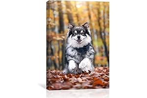 Custom Canvas Prints: Eternally Cherished Memories on Canvas