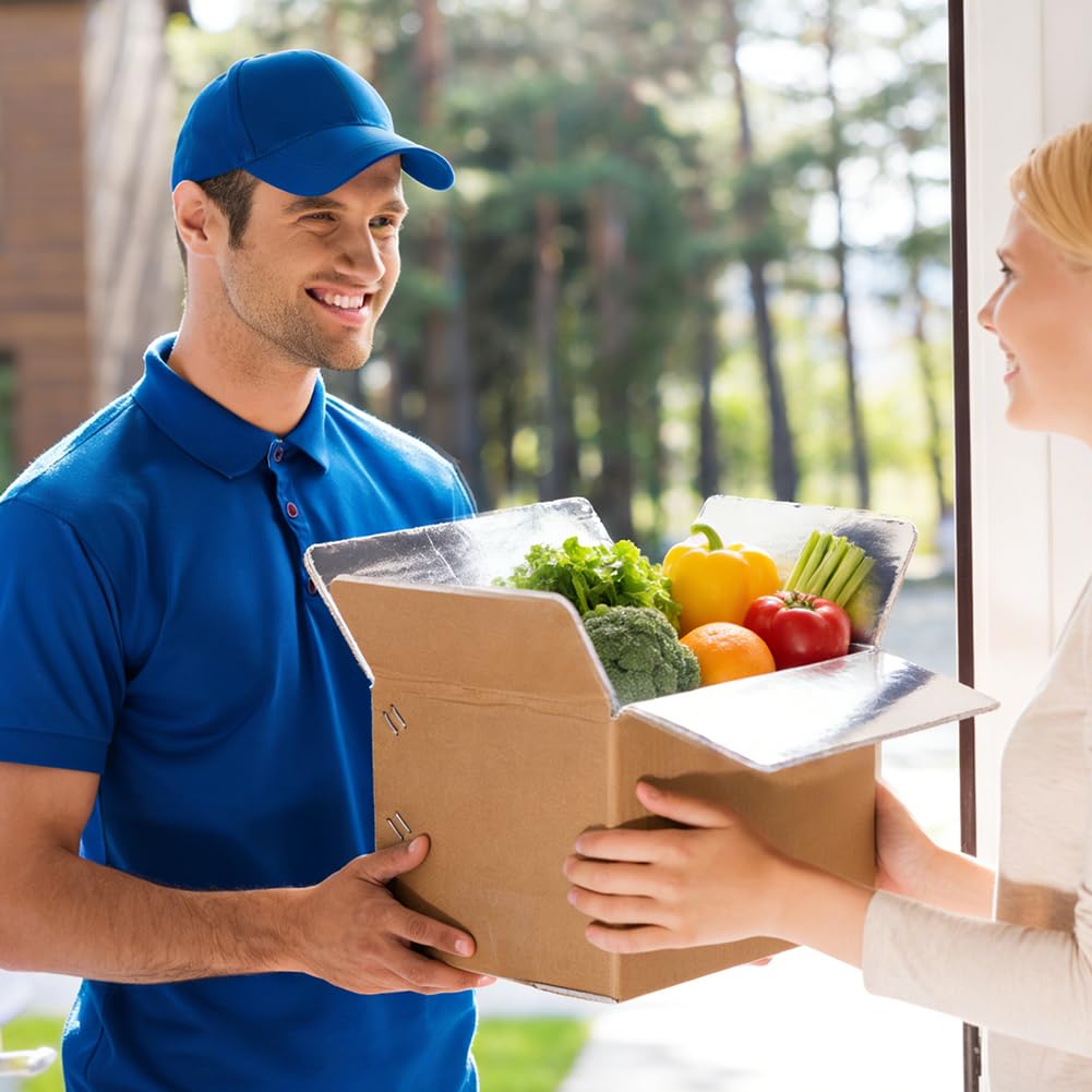 AHANDMAKER 2 Packung Isolierte Versandboxen Mit Aluminiumfolienauskleidung Isolierte Beutelauskleidung Wärmeisolierung Kühlakku Versandboxen Für Gefriergut Wiederverwendbare Kühlbox