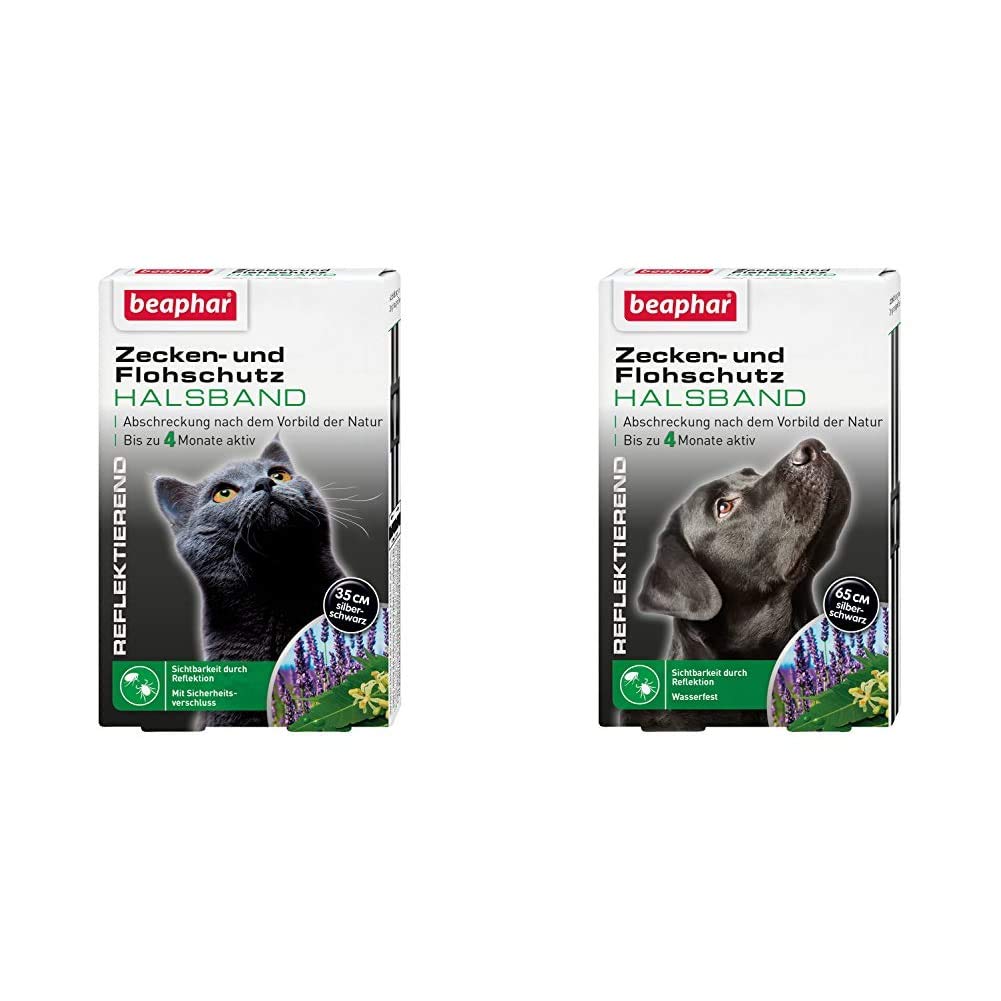 bestes hundefutter senior Senior Hundefutter mit Insektenprotein