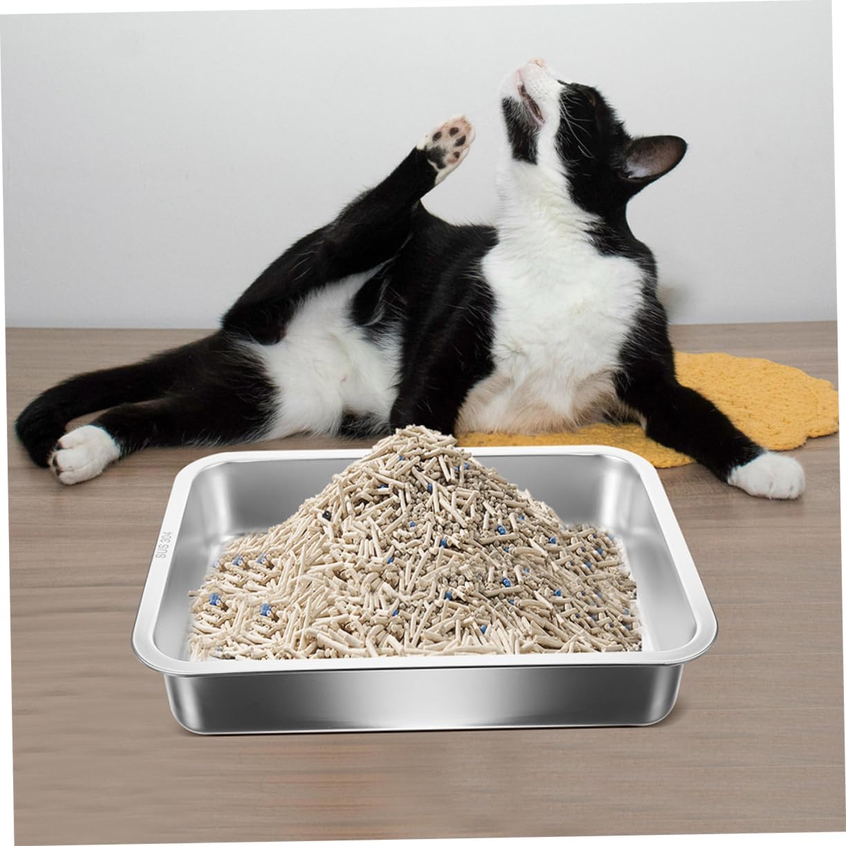 Cat Litter Box for Small Kittens Open Design No Spilling Durable and Easy to Magnetic Litter Control