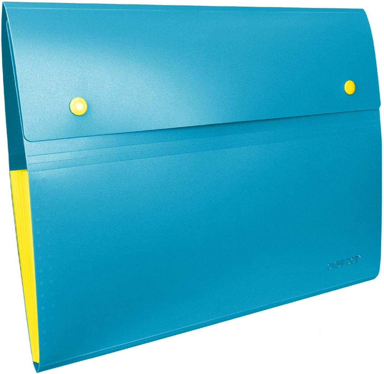Oxbridge Expanding A4 File Folder 8 Pocket Plastic Accordion File