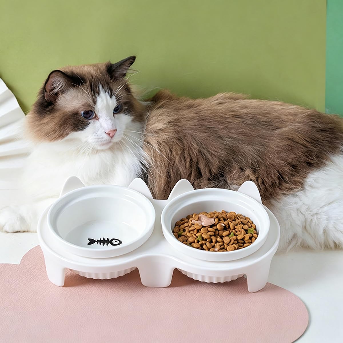 SYLEN Set di ciotole per gatti in ceramica con supporto, 2 piatti in ceramica rialzati per cibo e acqua, alimentazione confortevole per gatti e cuccioli (bianco)