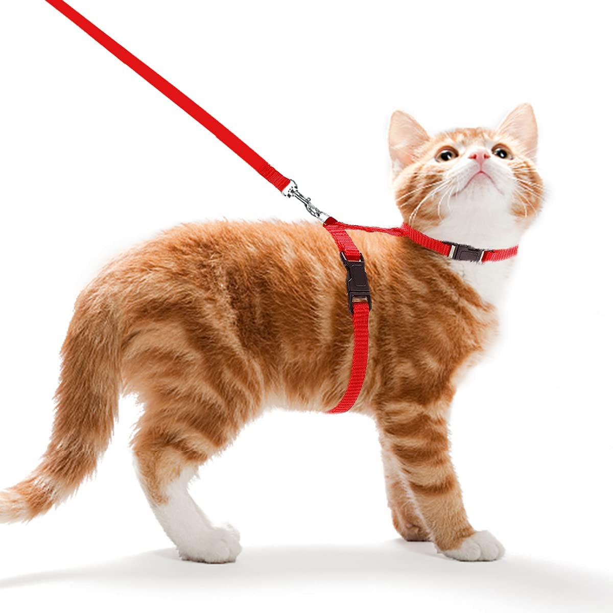 Cat Harness Leash Set for Cats & Kittens, 45 Inches Red - Medium