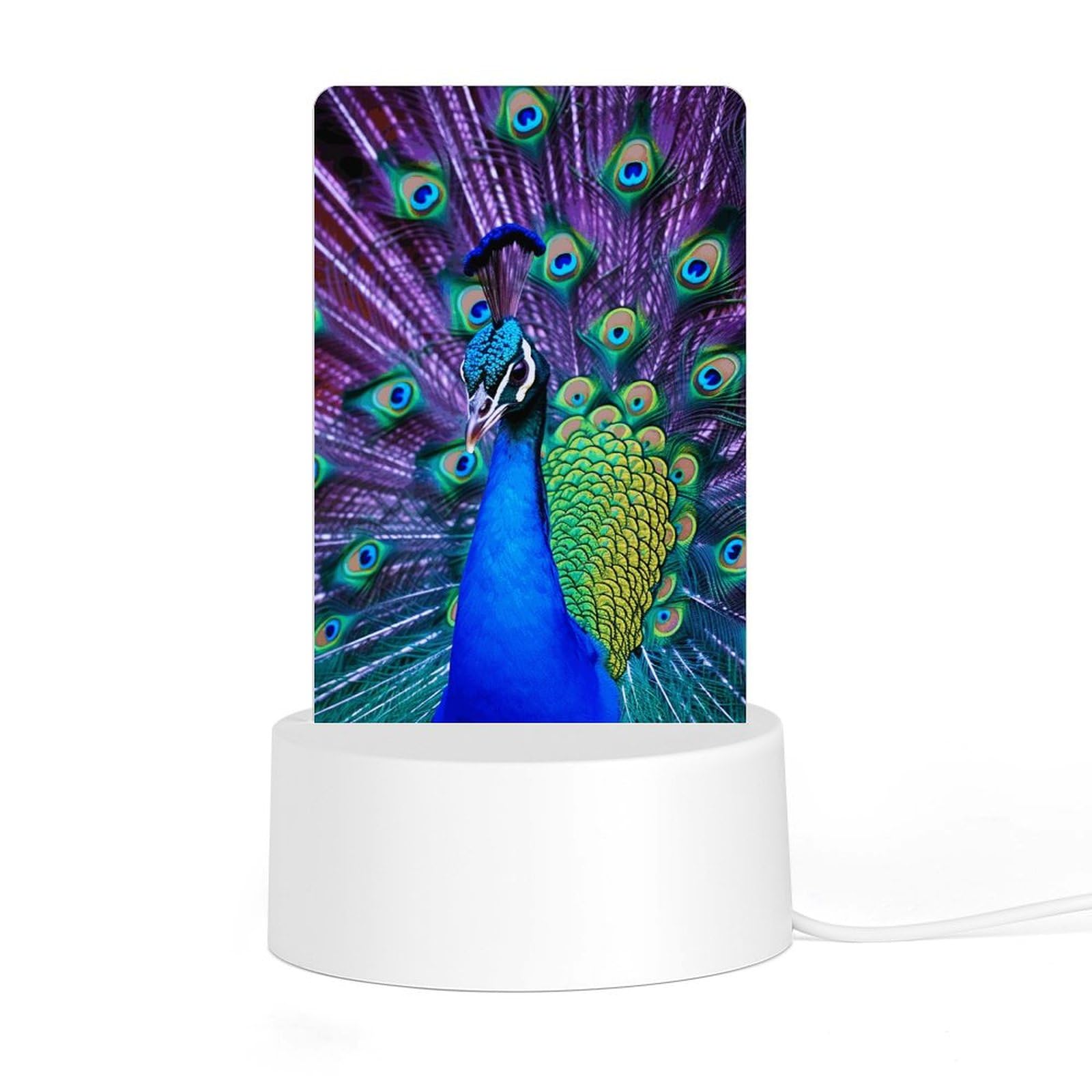 JTREHY Acrylic Night Light with Base Beauty Peacock Print Desktop Night Light LED Bedside Night Light for Bedroom Bathroom Hallway Holiday Gift