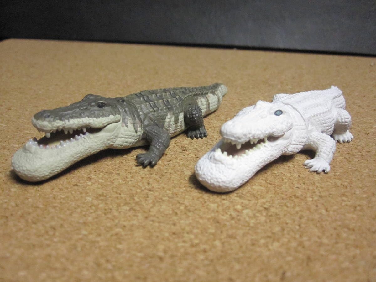 Amazon | 「パンダの穴シャクレルプラネット」：ワニ（ノーマルカラー