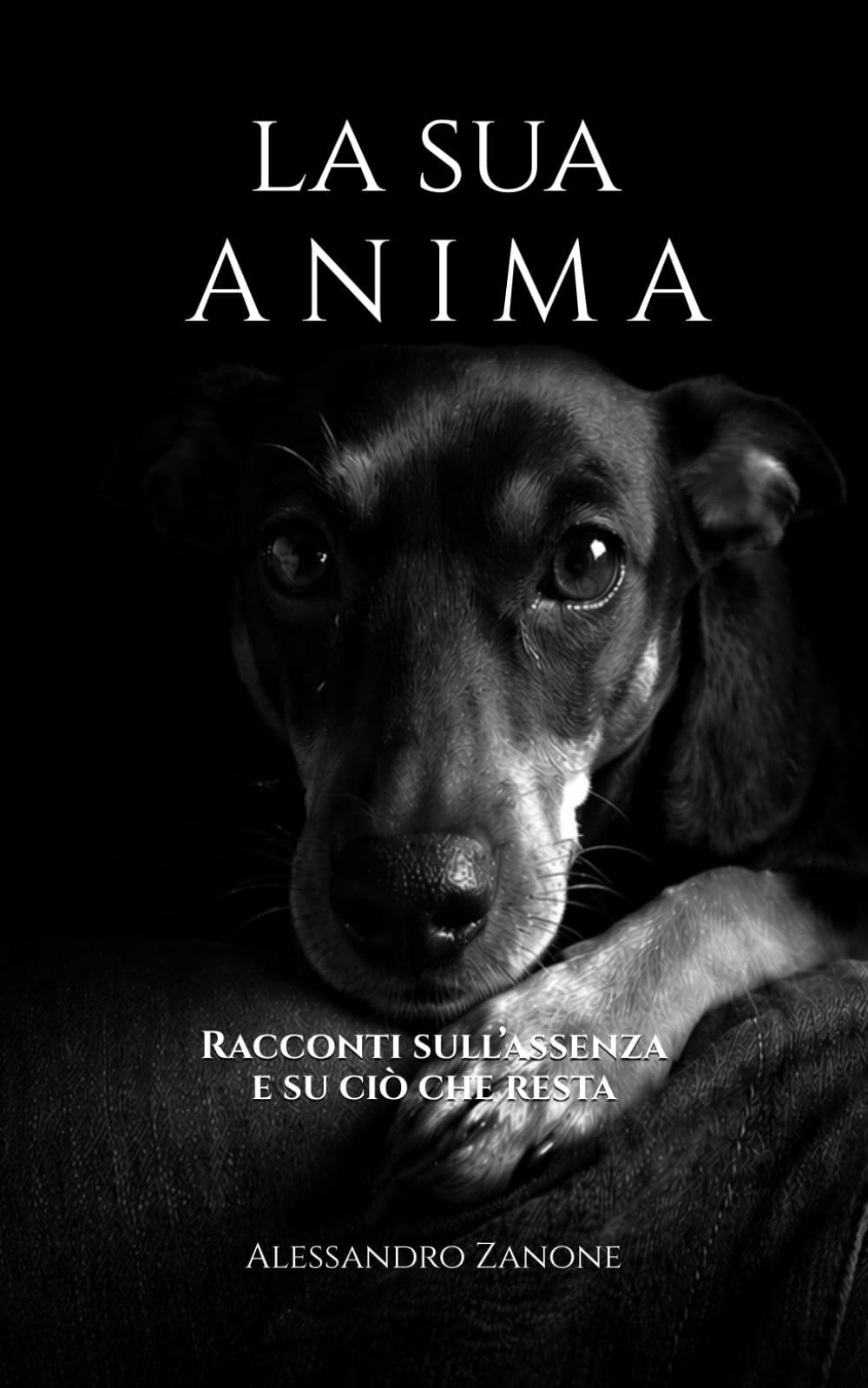 La sua anima: Racconti sull’assenza e su ciò che resta