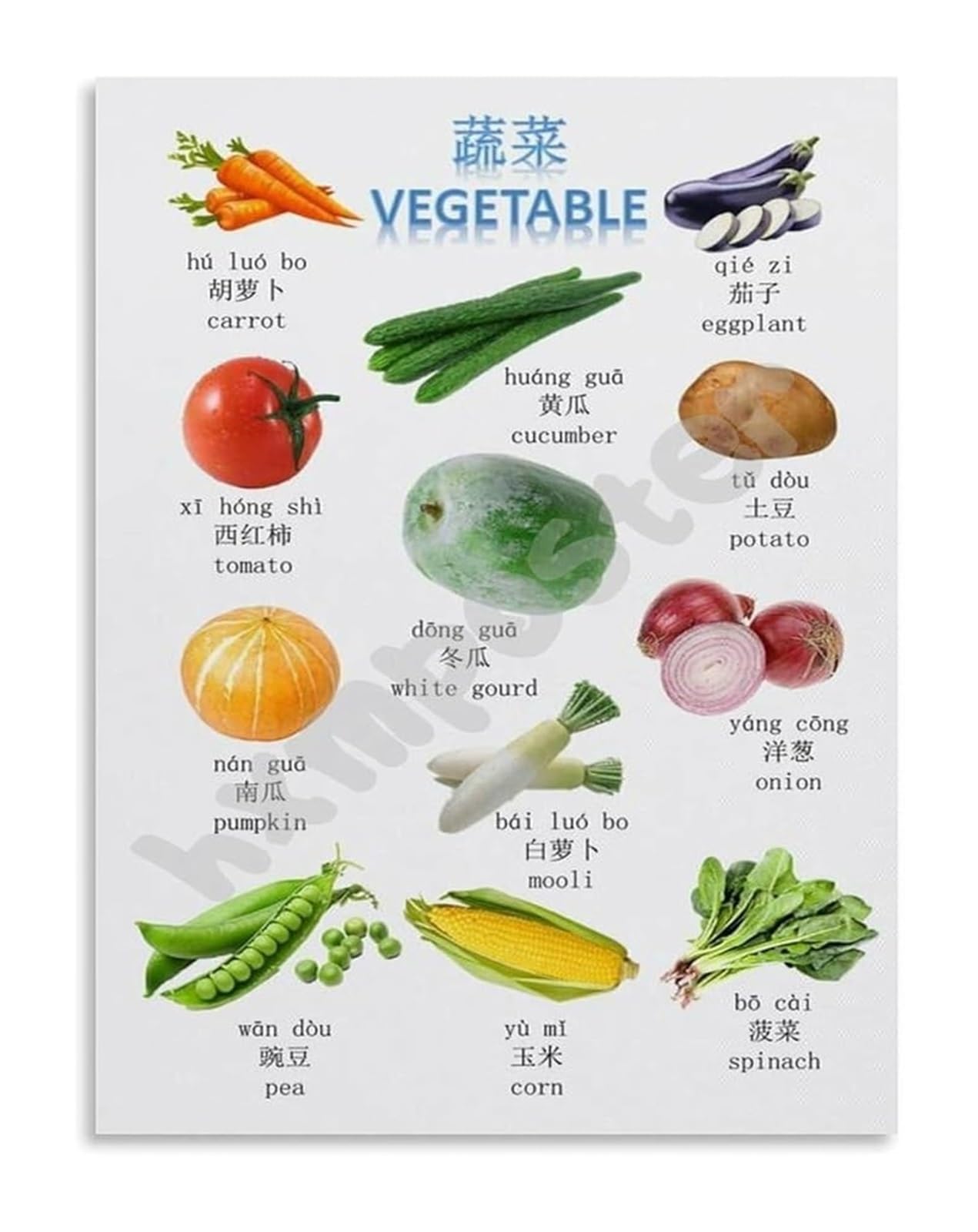 GYQYJPFZM Bilingual Vegetable Poster Chinese English Food Chart Learn Mandarin Vocabulary Educational Wall-Art for Preschool(Unframed,08x12inch(20x30cm))