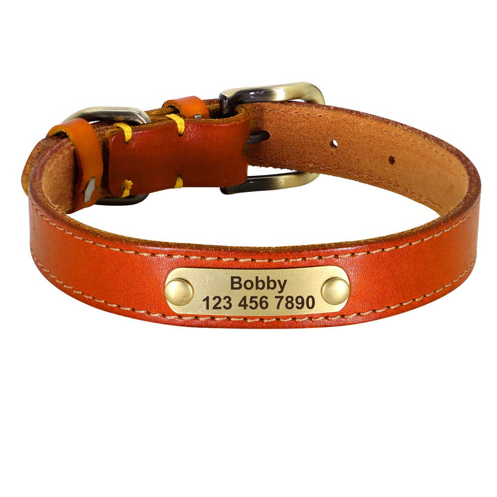 Collier en cuir personnalisé pour chien le témoin de votre amour et de sa sécurité
