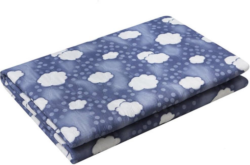 HanIl NHI Electric Blanket Microfiber Heating Bed Pad Winter Mattress Cover Microfiber 220V (Small, Blue&Cloud)